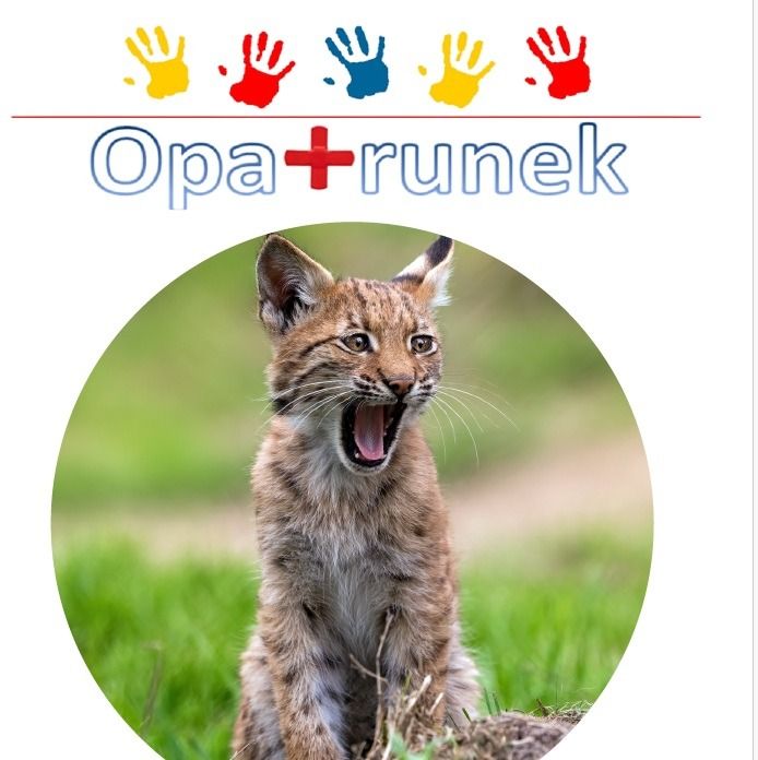 numer 3 opatrunek 1600 1000 80